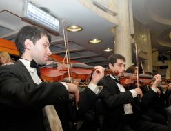 Violinists
