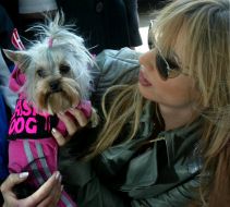 Светлана Лобода