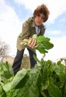 A woman gathering dock