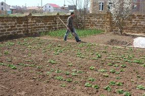 A man is engaged in garden works