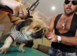 Дмитро Коляденко