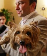 Віктор Павлик