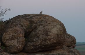 National park ”Stone graves”