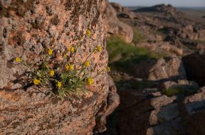 National park ”Stone graves”