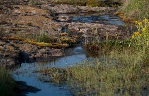 National park ”Stone graves”