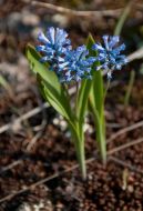 National park ”Stone graves”