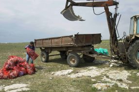 «Tarkhankurt without garbage» ecological action participant
