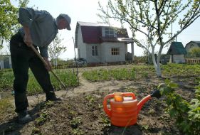 Олександр База
