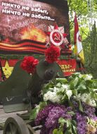 Flowers near a machine-gun cart