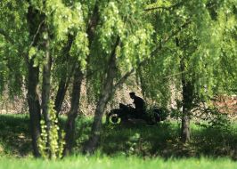 Reconstruction participant