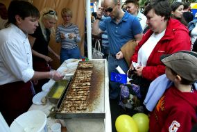 Celebration of Day of Europe