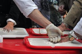 The imprints of hands in a plaster