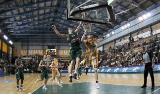 Олександр Кольченко та Манучар Маркоішвілі