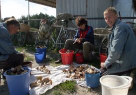 Люди чистить гриби