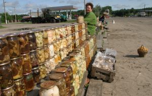 A woman sells mushrooms