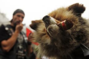 Медведь с сигарой