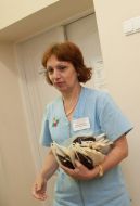 Медсестра несет пакеты с кровью
