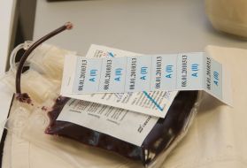 Пакет с донорской кровью