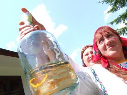 ”Bukova vit” festival participant