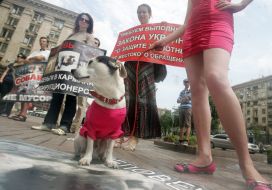 Участница акции “Стоп зооциду в Киеве”