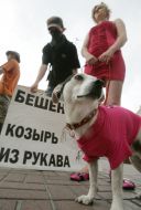 Участница акции “Стоп зооциду в Киеве”