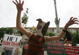 Участница акции “Стоп зооциду в Киеве”