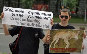 Участники акции “Стоп зооциду в Киеве”