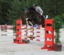 A horse takes the obstacle