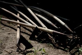 Рабочий чистит лук