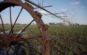 Фрегат поливает арендованное поле
