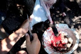 Мужчина снимает шкуру с козла