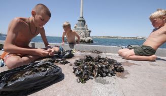 Boys sort out the mussels collected in a sea
