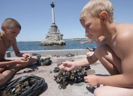 Boys sort out the mussels collected in a sea