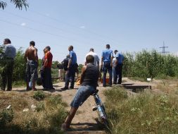 Поиски крокодила