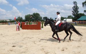 Participant of Ukraine Championship on show jumping