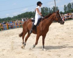 Participant of Ukraine Championship on show jumping