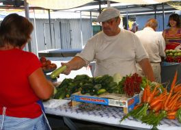 A man chooses vegetable marrow at the market