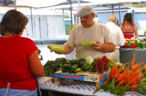 A man chooses vegetable marrow at the market