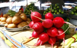 Vegetables at the market