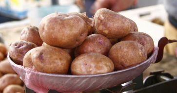 Potato at the market
