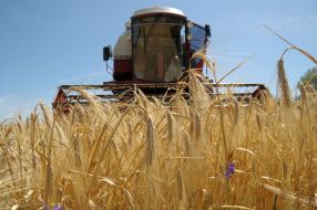 A combine is taken away by a harvest