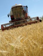 A combine is taken away by a harvest