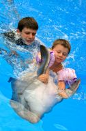Session of Dolphin Assisted Therapy