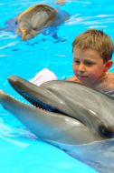 Session of Dolphin Assisted Therapy