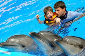 Session of Dolphin Assisted Therapy
