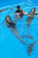 Session of Dolphin Assisted Therapy