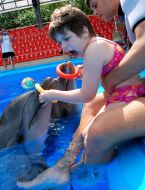 Session of Dolphin Assisted Therapy
