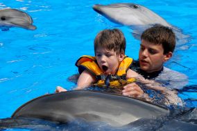 Session of Dolphin Assisted Therapy