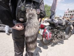 Participant of the fest with the tail of fox