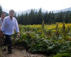 Віктор Ющенко